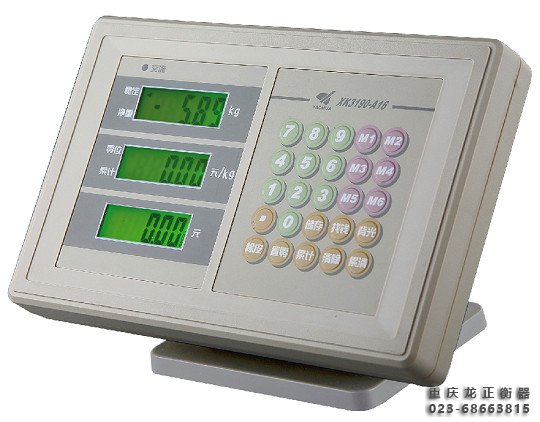 XK3190- A16(E)计价仪表